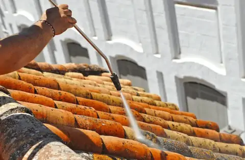 Démoussage de toiture à Pannecé